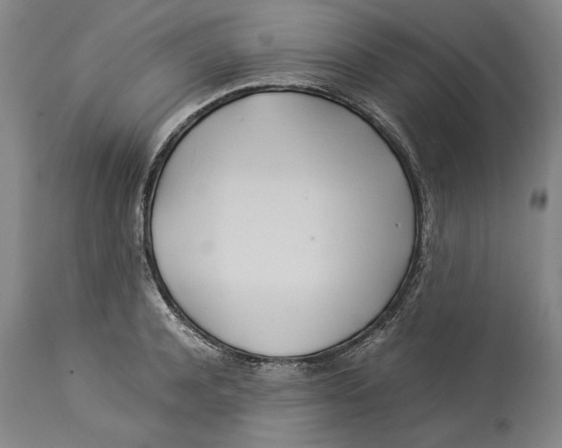 X0000114150944200911051439