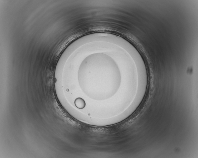 X0000114150945200911051439