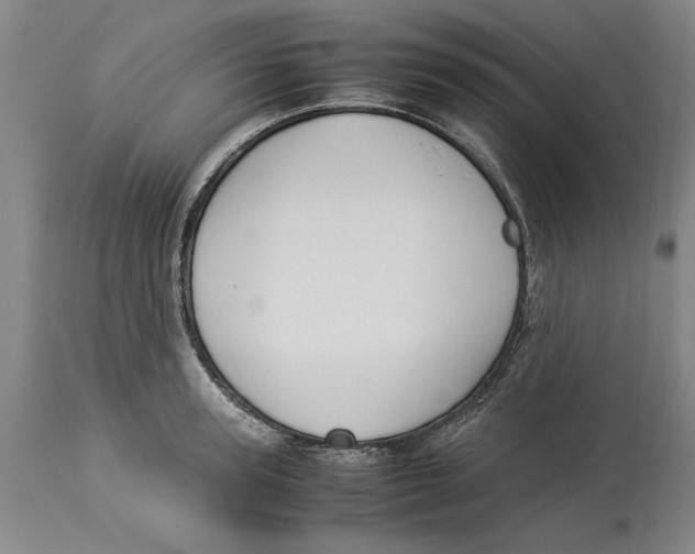 X0000114150947200911051439