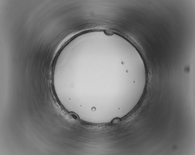 X0000114150948200911051439