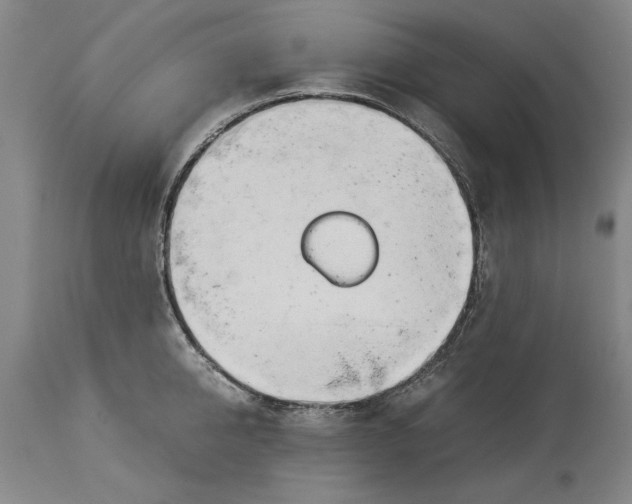 X0000114150950200911051439