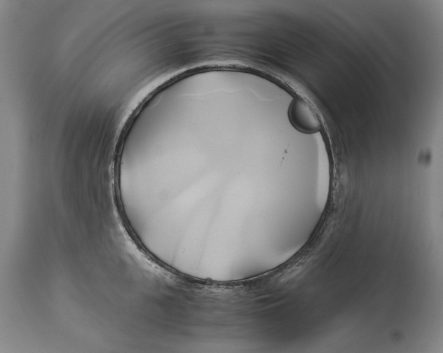 X0000114150951200911051439