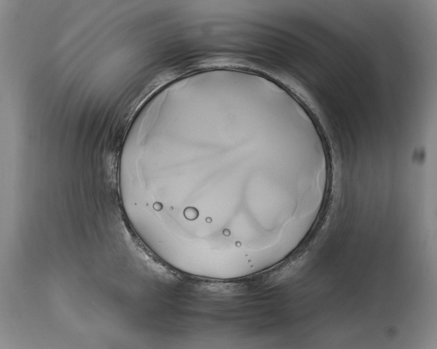 X0000114150953200911051440