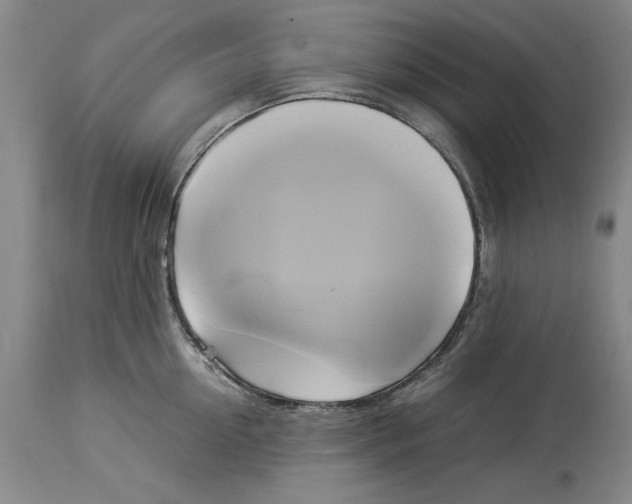 X0000114150954200911051440