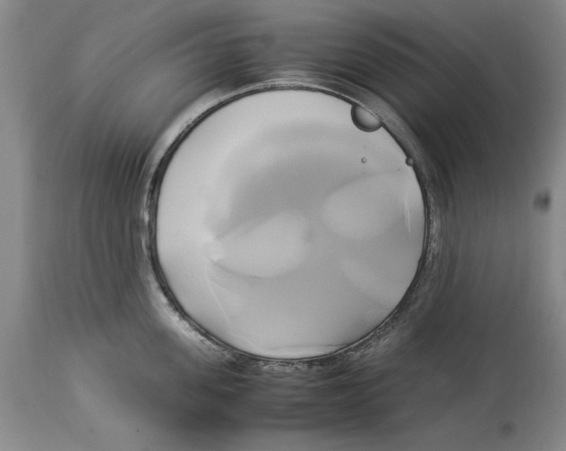 X0000114150955200911051440