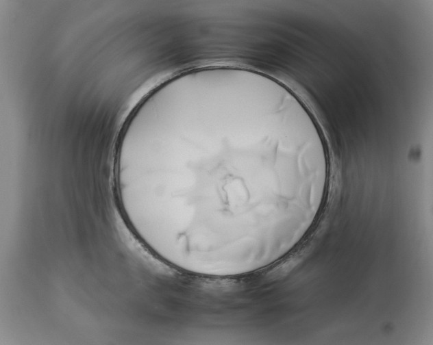 X0000114150957200911051440