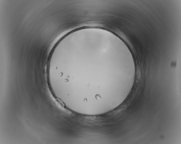 X0000114150959200911051440