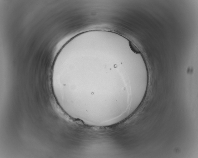 X0000114150960200911051440