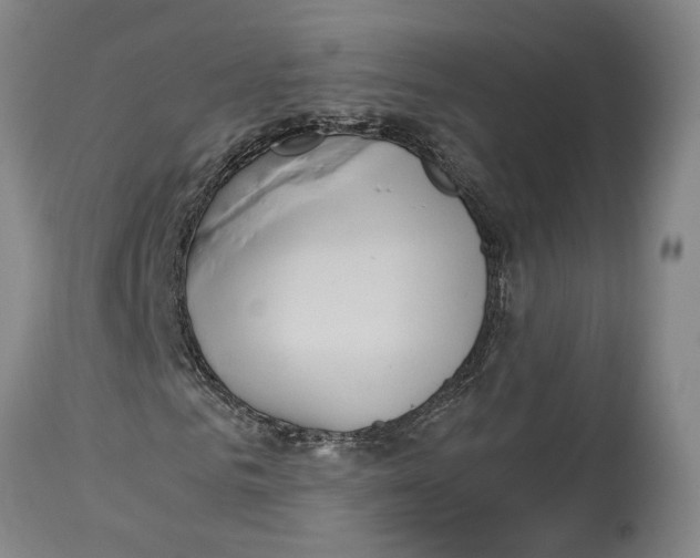 X0000114150961200911051439