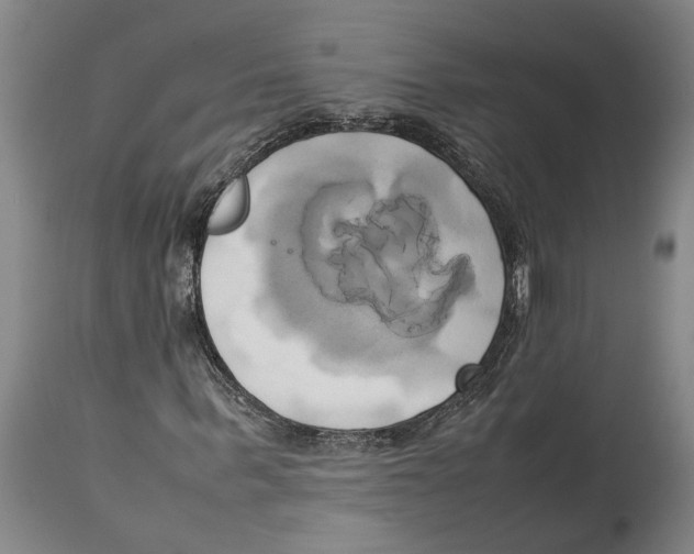 X0000114150963200911051439