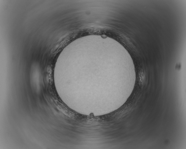 X0000114150964200911051439