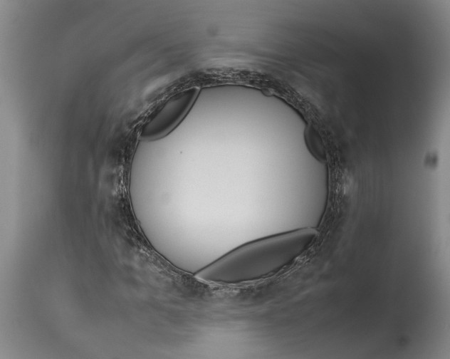 X0000114150965200911051439