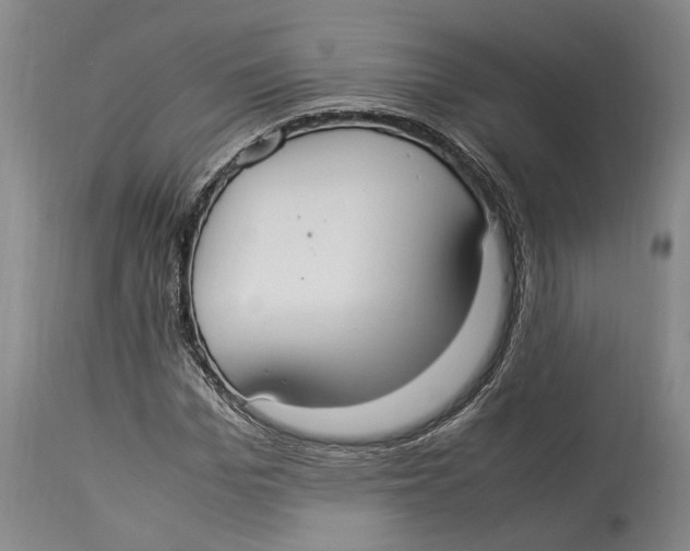 X0000114150969200911051439