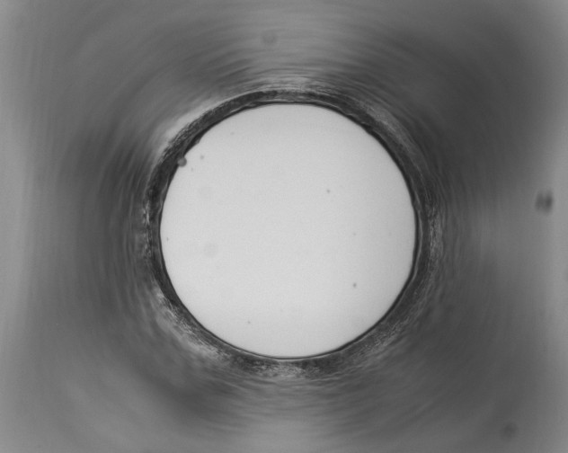 X0000114150971200911051439