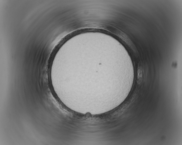 X0000114150972200911051439