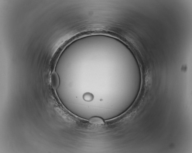 X0000114150973200911051439
