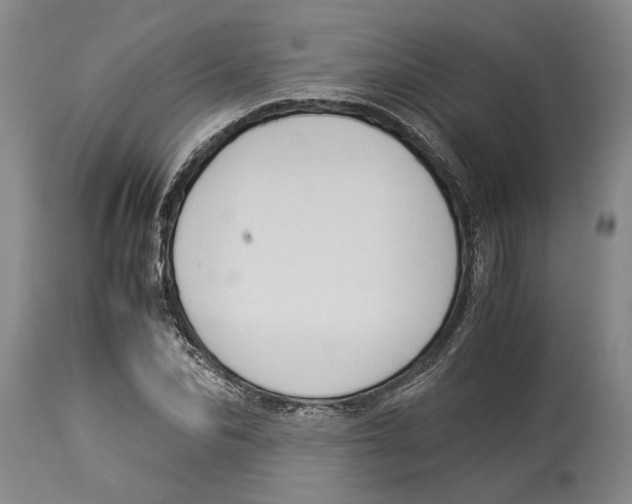 X0000114150974200911051439