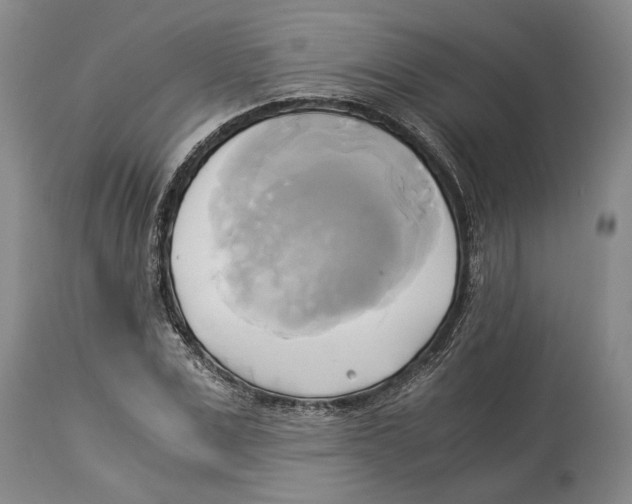 X0000114150975200911051439