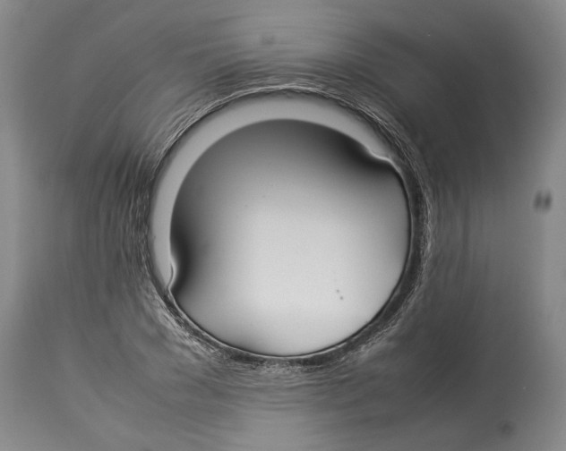 X0000114150977200911051439