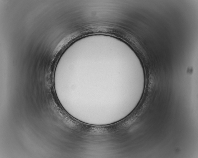 X0000114150978200911051439