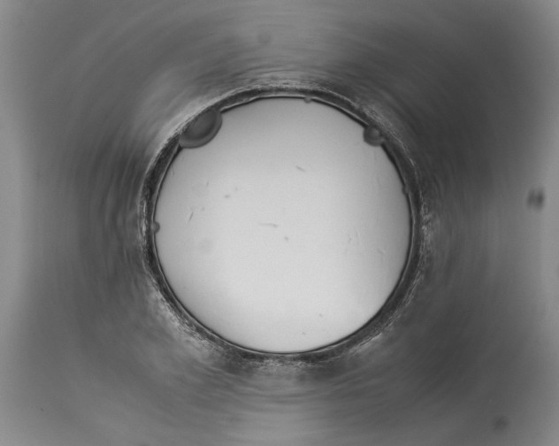 X0000114150981200911051439