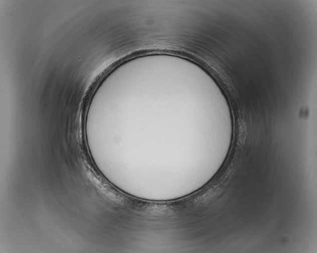 X0000114150982200911051439