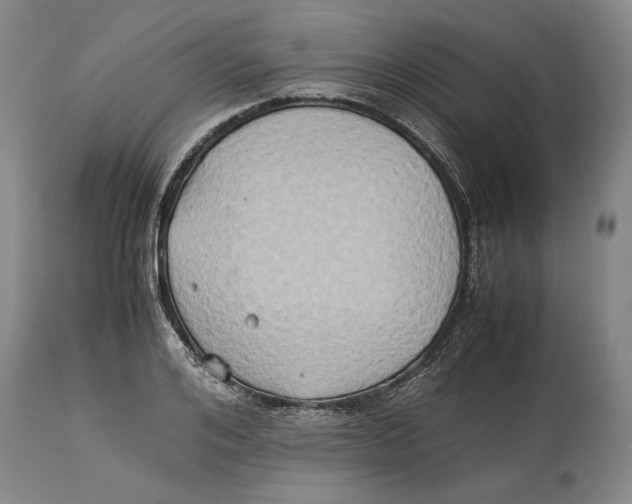 X0000114150984200911051439