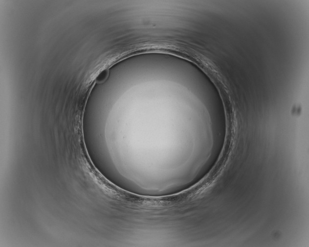 X0000114150985200911051439
