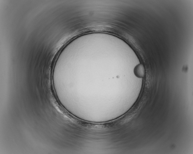 X0000114150986200911051439