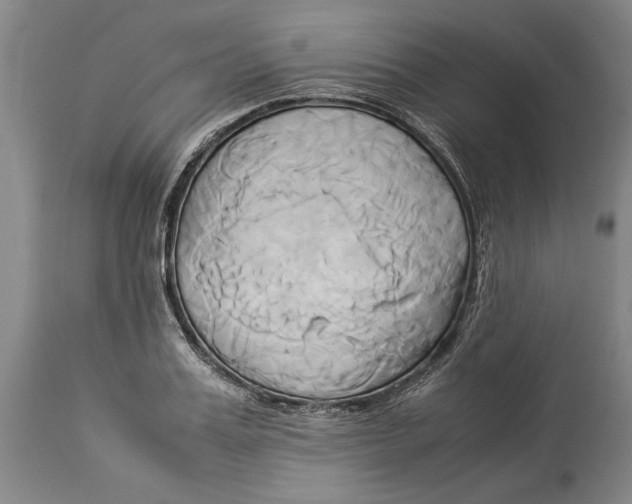 X0000114150987200911051439