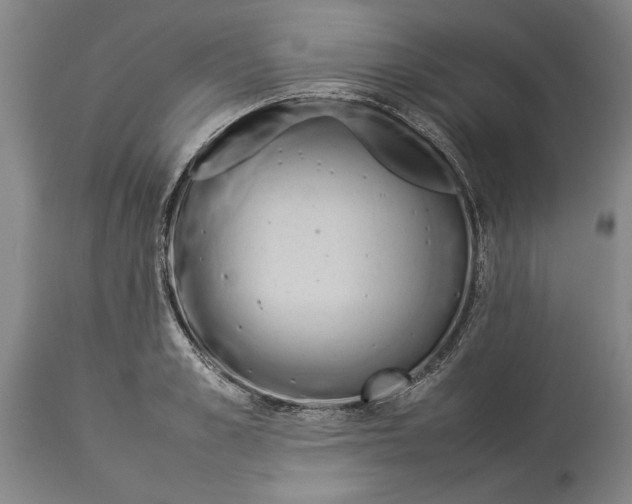 X0000114150989200911051439