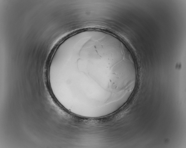 X0000114150991200911051439