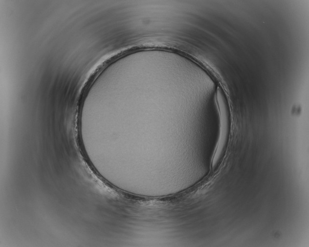 X0000114150992200911051439