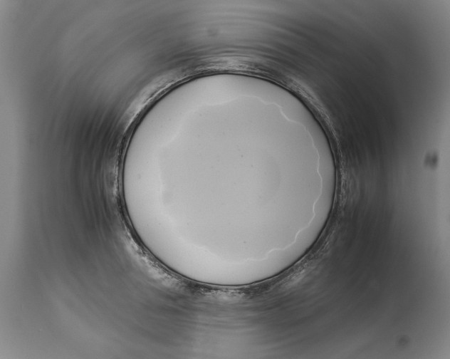 X0000114150994200911051438