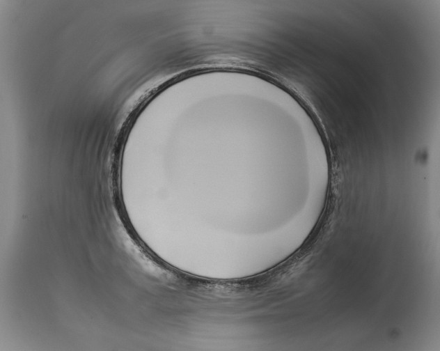 X0000114150995200911051438