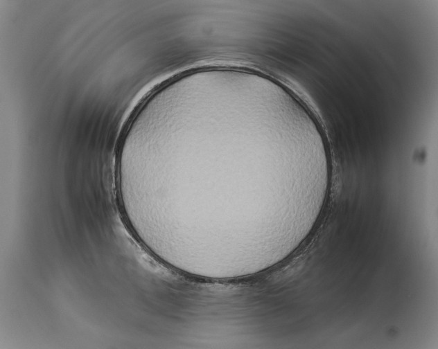X0000114150996200911051438