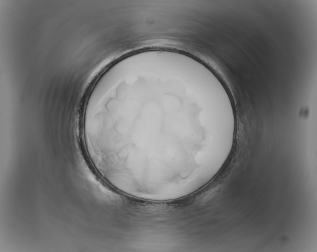 X0000114150999200911051438