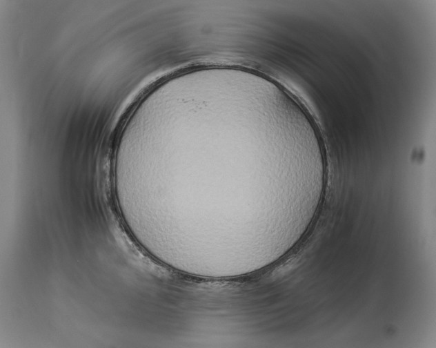 X0000114151000200911051438