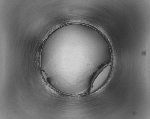 X0000114151001200911051438