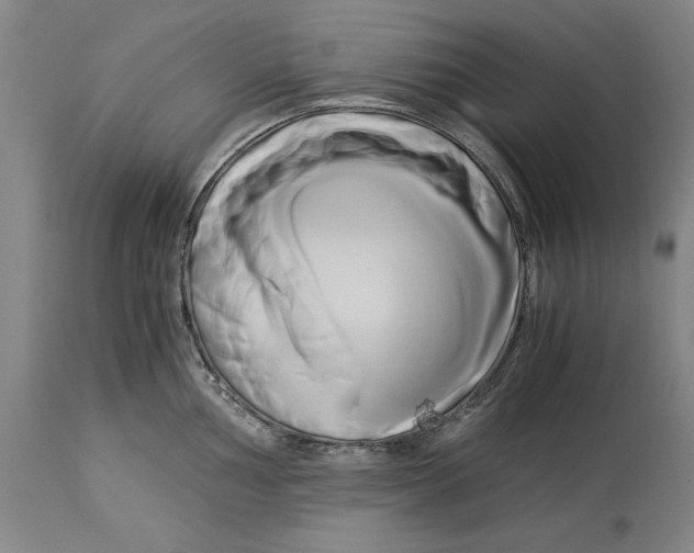 X0000114151002200911051438