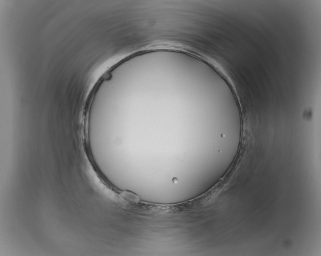 X0000114151003200911051438