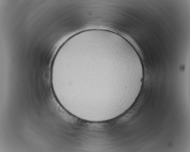 X0000114151004200911051438