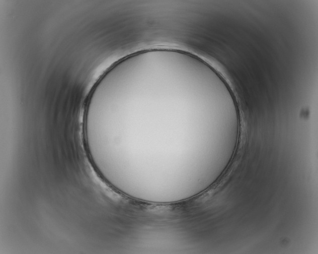 X0000114151006200911051438