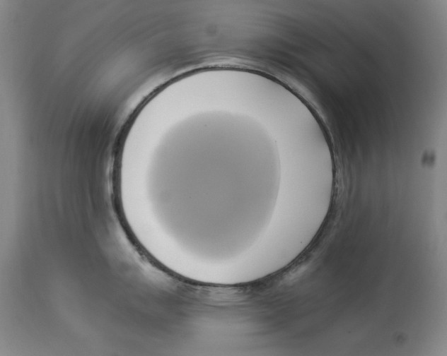 X0000114151007200911051438