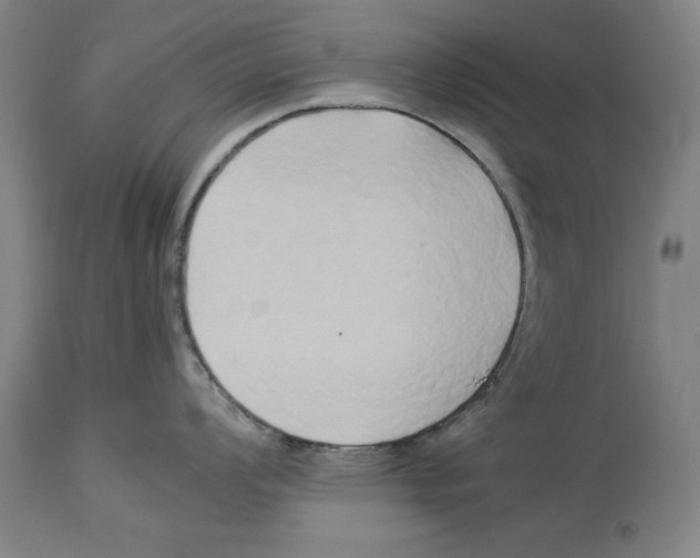 X0000114151008200911051438