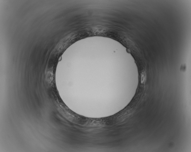 X0000114151011200911051438