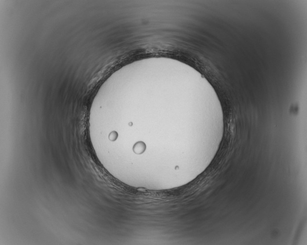 X0000114151012200911051438