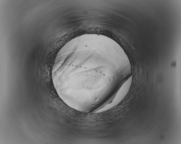 X0000114151013200911051438