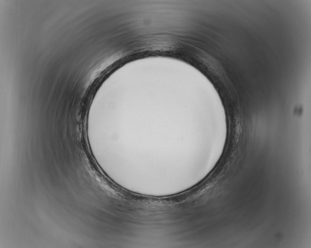 X0000114151018200911051438