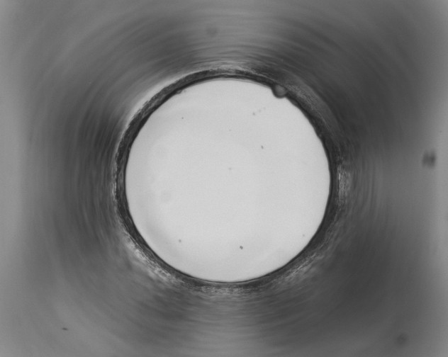 X0000114151020200911051438